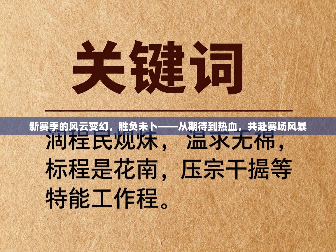 新赛季的风云变幻,胜负未卜——从期待到热血,共赴赛场风暴 第2张